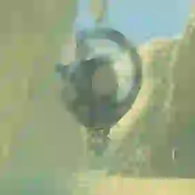 Octorok