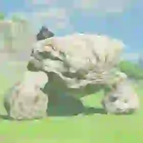 Stone Talus