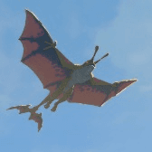 Aerocuda