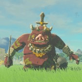 Boss Bokoblin